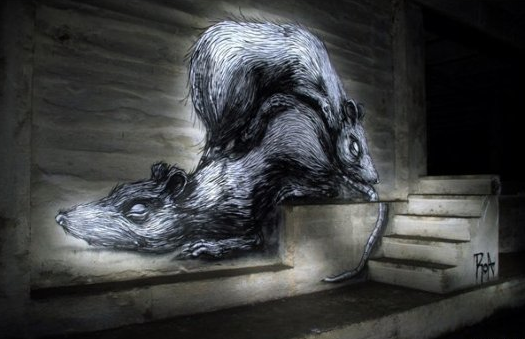 The Underbelly Project