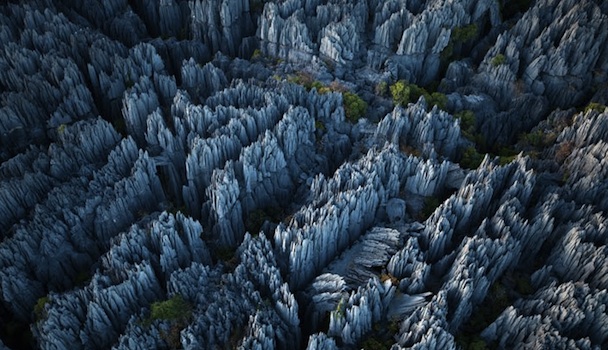 An image of the Stone Forest in Madagascar