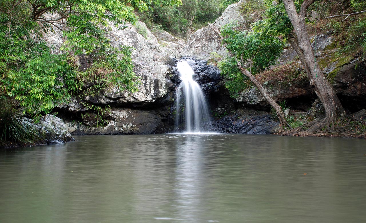 Five Waterfalls Near Brisbane You Can Swim Under Concrete Playground