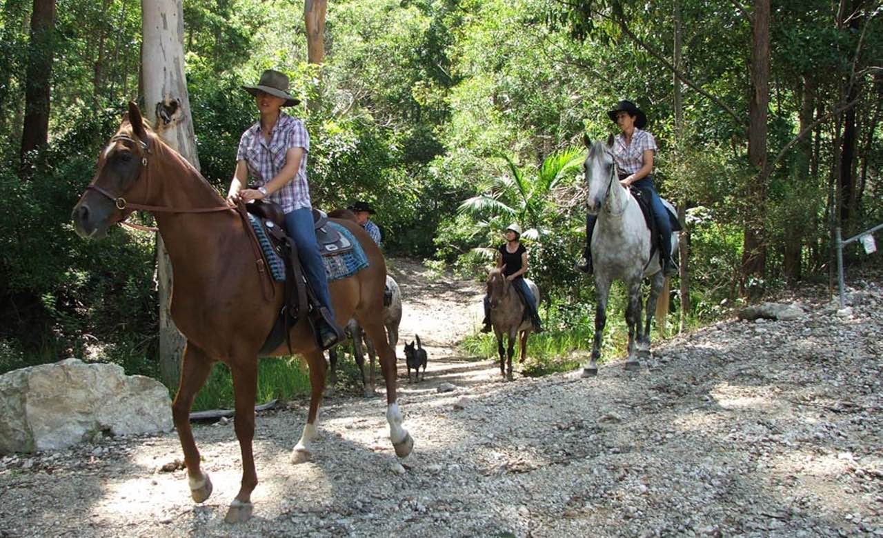 Horse-Riding-Queensland