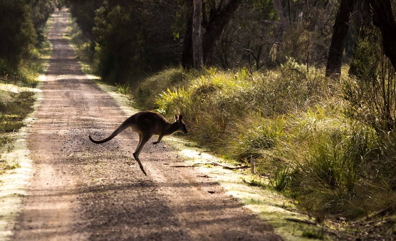 The Ten Best Bike Rides in Melbourne Concrete Playground Melbourne