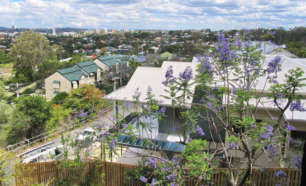 The Ten Best Walks In and Around Brisbane Concrete Playground Brisbane