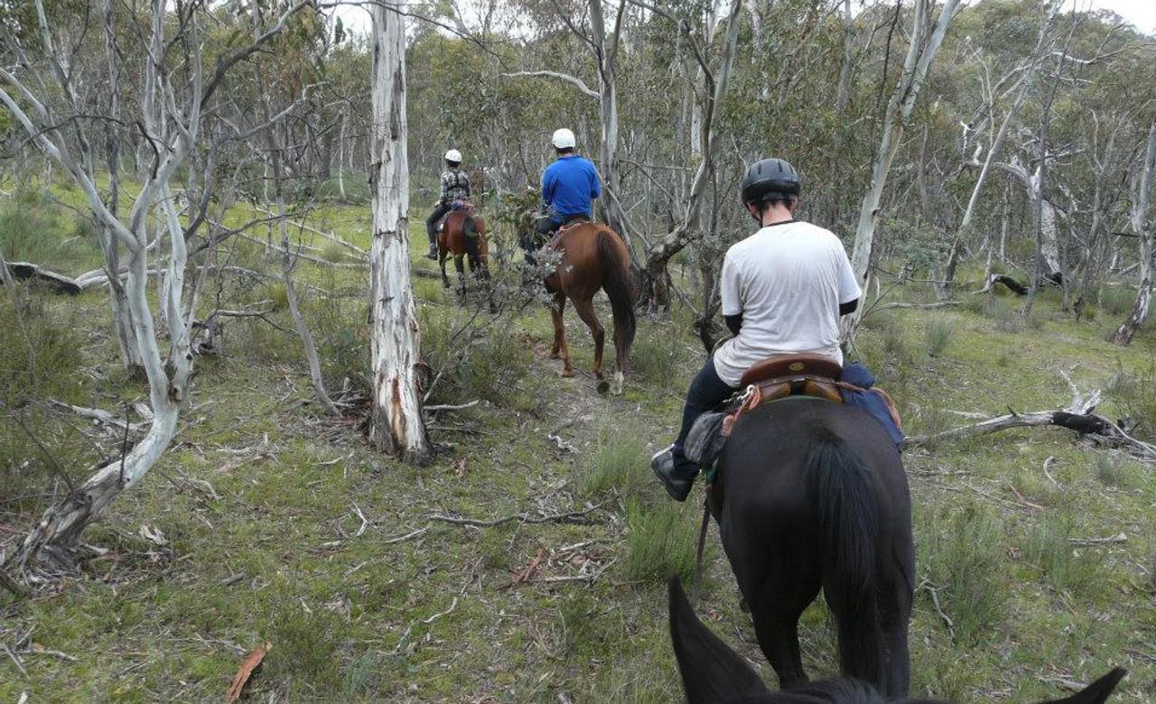 Kangaroo-Valley-horse-riding