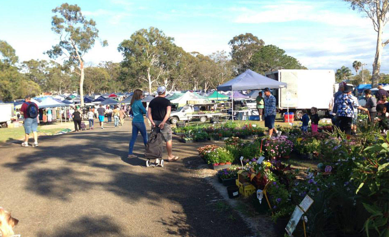 The Best Places to Buy Plants in Brisbane Concrete Playground Brisbane