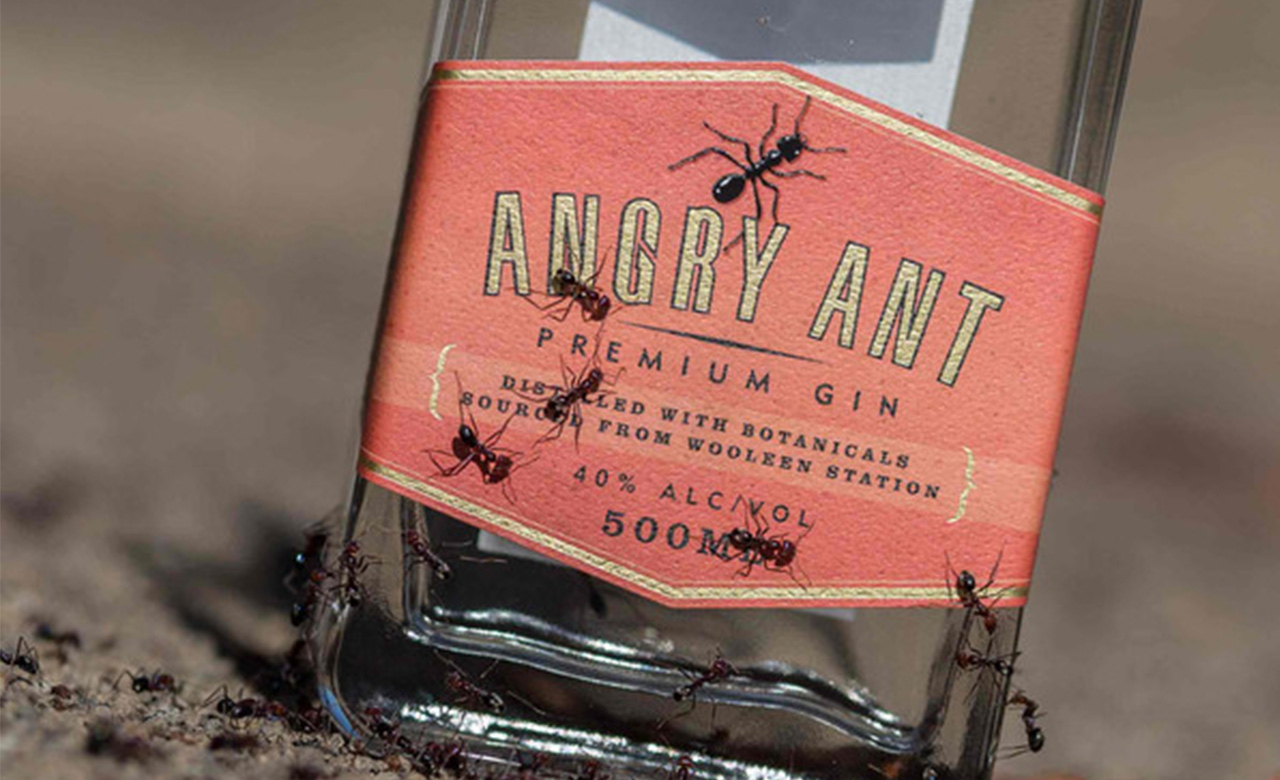 angry-ant-gin