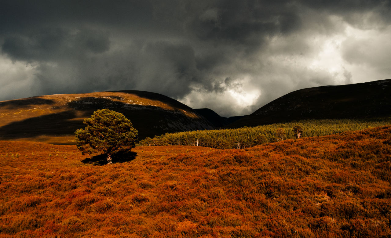 glen-feshie-scotland-gary-crawford-flickr