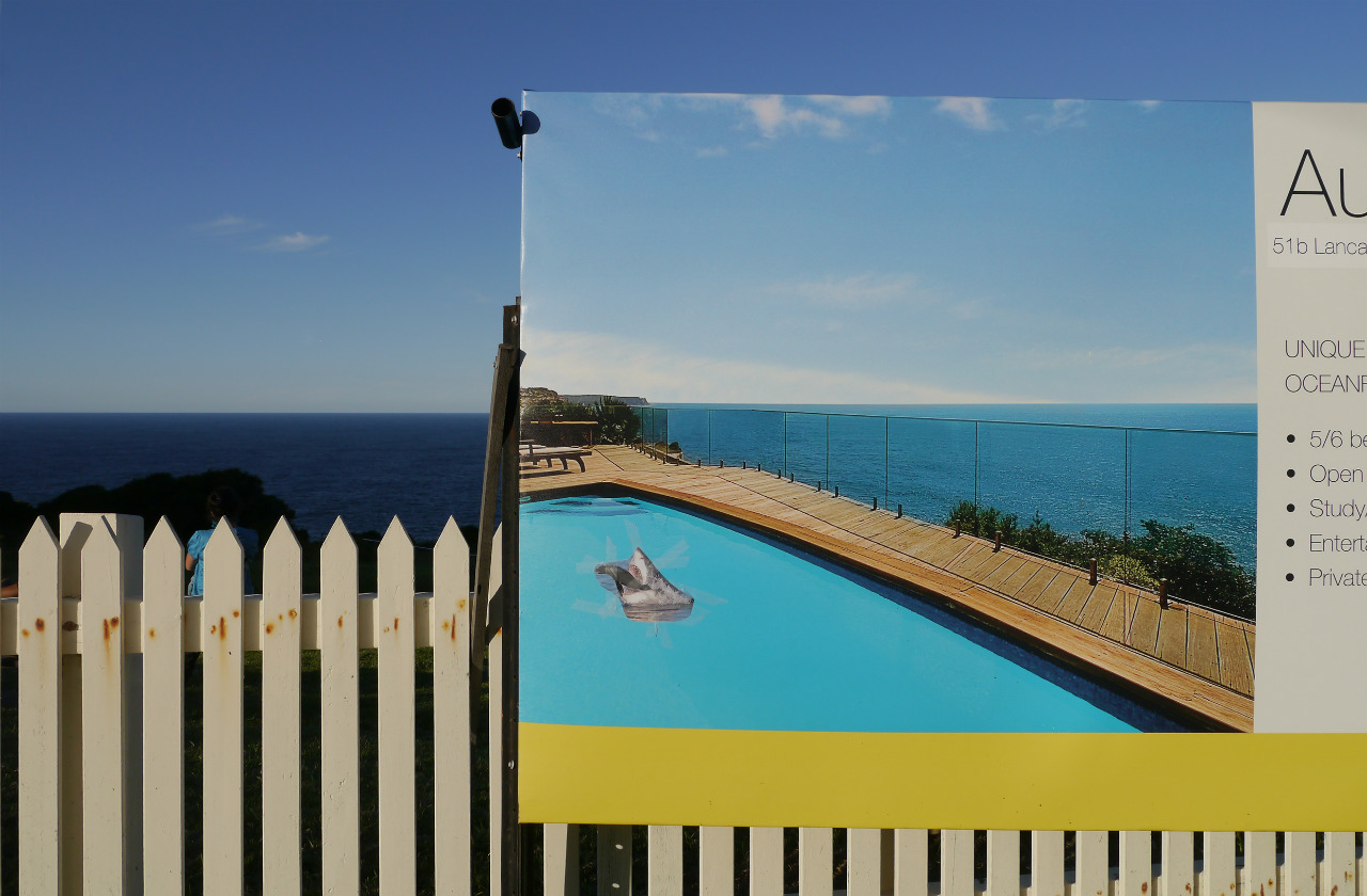 australian-life-2012-winner-sally-mcinerney-shark-in-pool-dover-heights-2012