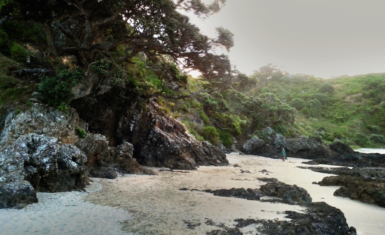 1280px x 782px - The Five Best Nude Beaches Near Auckland - Concrete Playground