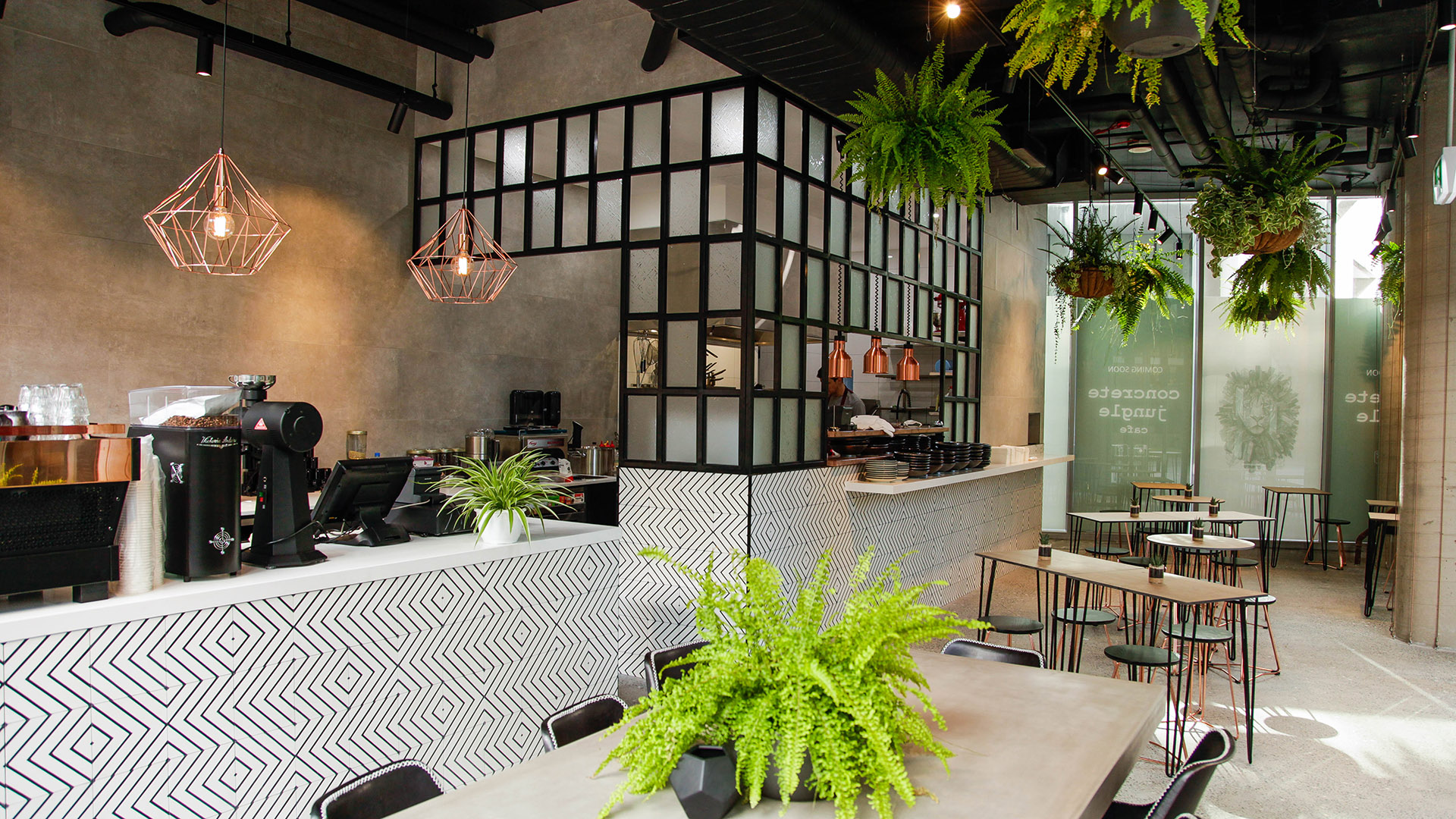 Eco-Conscious Cafe Concrete Jungle Brings a Touch of Greenery to