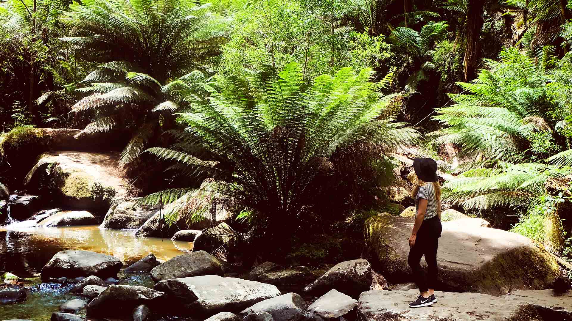 Hike and Seek Is Melbourne’s New Boutique Hiking Tour Company