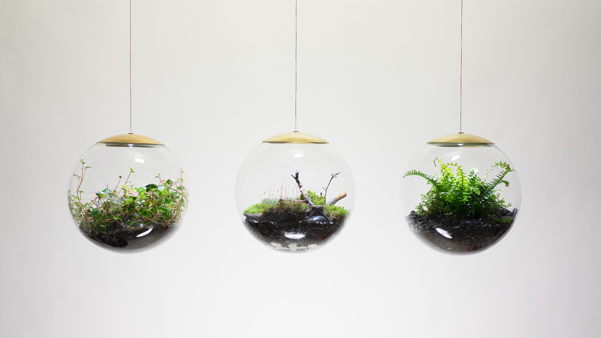 These Terrarium Lights Add a Mini Hanging Garden to Any Room Concrete