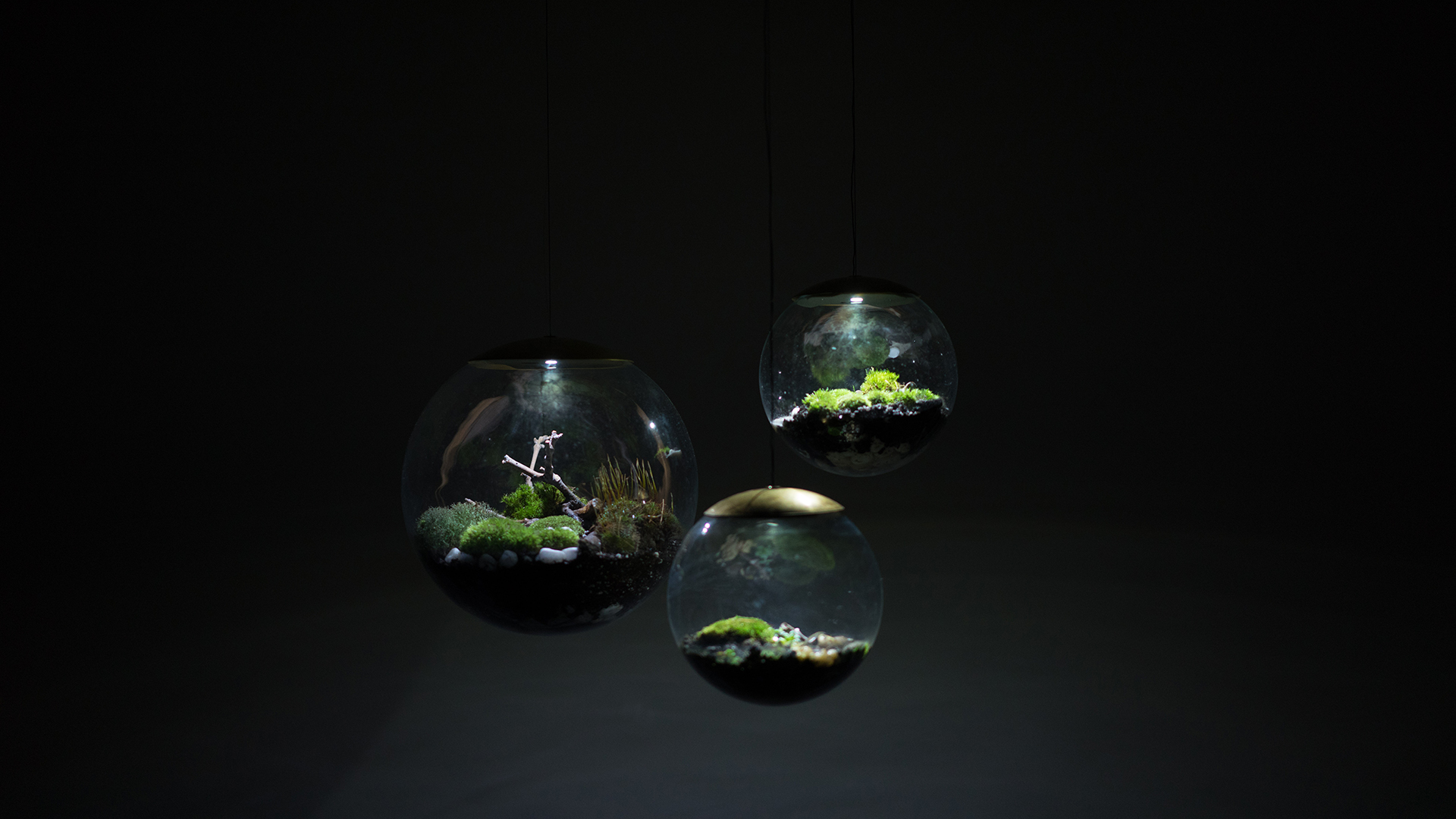 These Terrarium Lights Add a Mini Hanging Garden to Any Room Concrete Playground Auckland
