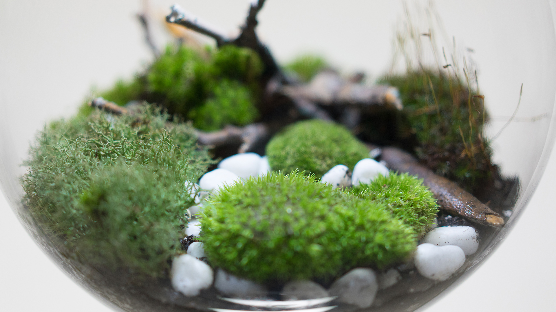 These Terrarium Lights Add a Mini Hanging Garden to Any Room Concrete