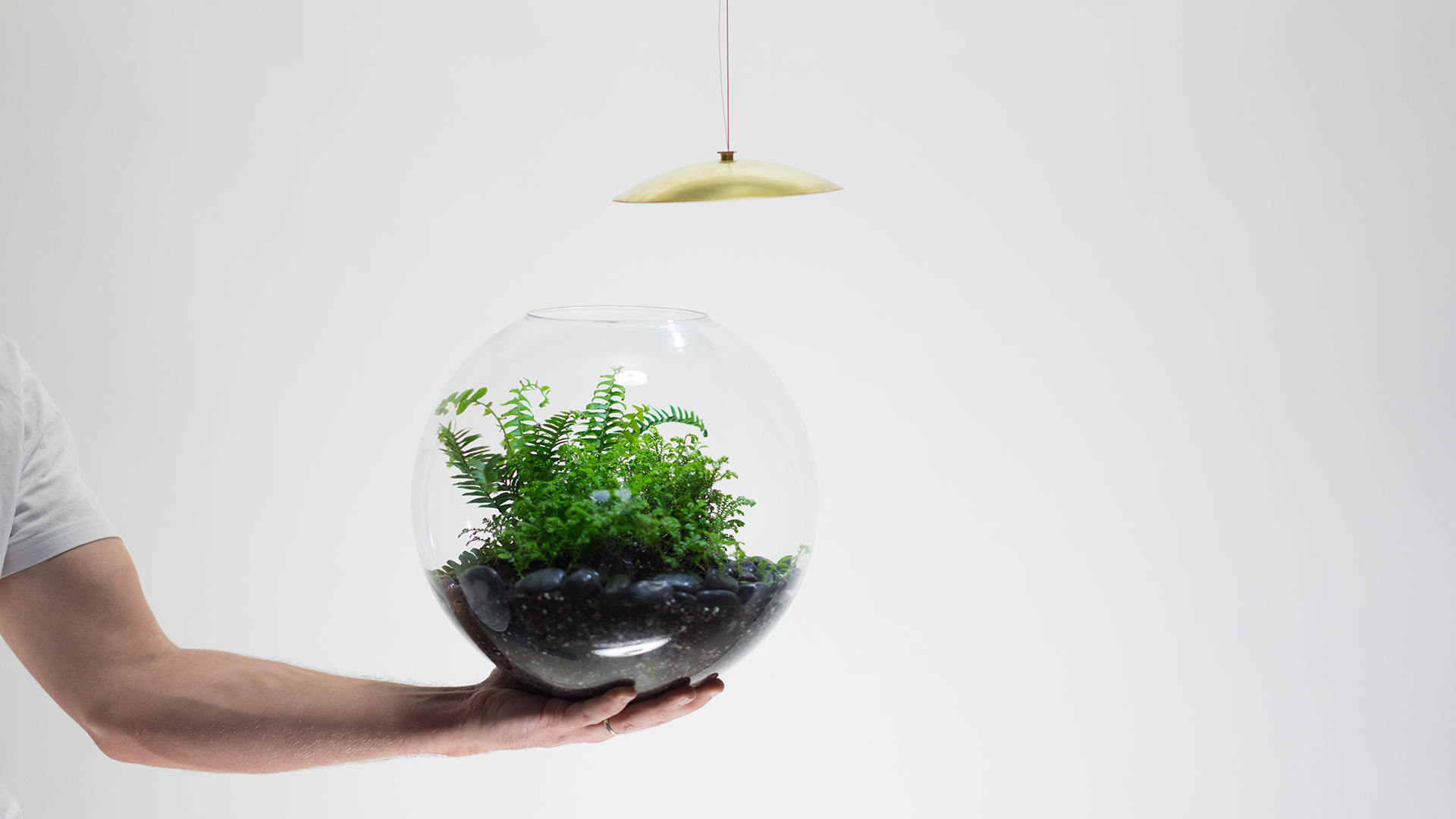 These Terrarium Lights Add a Mini Hanging Garden to Any Room Concrete
