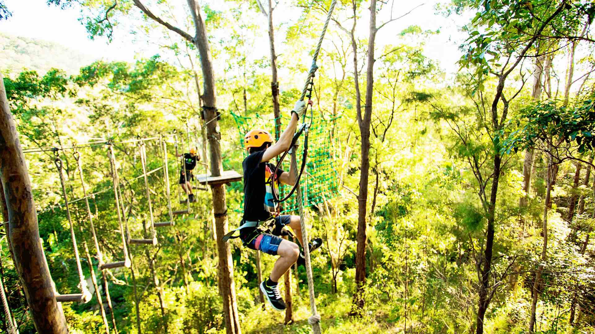 Treetop Challenge Mt Tambourine